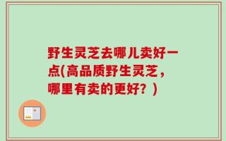 野生灵芝去哪儿卖好一点(高品质野生灵芝，哪里有卖的更好？)
