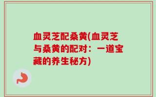 血灵芝配桑黄(血灵芝与桑黄的配对：一道宝藏的养生秘方)