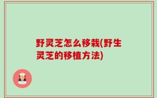 野灵芝怎么移栽(野生灵芝的移植方法)