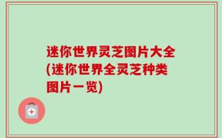 迷你世界灵芝图片大全(迷你世界全灵芝种类图片一览)
