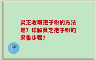 灵芝收取孢子粉的方法是？详解灵芝孢子粉的采集步骤？