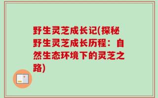 野生灵芝成长记(探秘野生灵芝成长历程：自然生态环境下的灵芝之路)