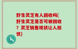 野生灵芝有人回收吗(野生灵芝是否可被回收？灵芝销售现状让人担忧)