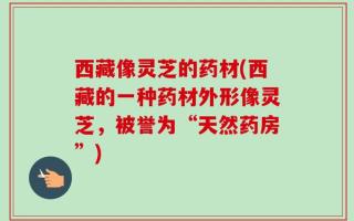 西藏像灵芝的药材(西藏的一种药材外形像灵芝，被誉为“天然药房”)