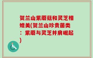 贺兰山紫蘑菇和灵芝相媲美(贺兰山珍贵菌类：紫蘑与灵芝并肩崛起)