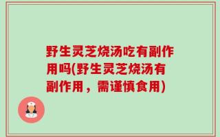 野生灵芝烧汤吃有副作用吗(野生灵芝烧汤有副作用，需谨慎食用)