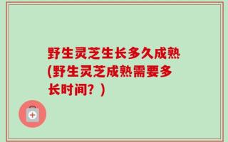 野生灵芝生长多久成熟(野生灵芝成熟需要多长时间？)