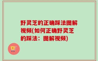 野灵芝的正确踩法图解视频(如何正确野灵芝的踩法：图解视频)