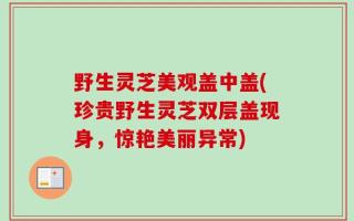 野生灵芝美观盖中盖(珍贵野生灵芝双层盖现身，惊艳美丽异常)