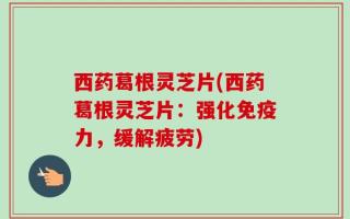 西药葛根灵芝片(西药葛根灵芝片：强化免疫力，缓解疲劳)