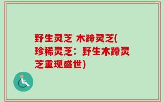 野生灵芝 木蹄灵芝(珍稀灵芝：野生木蹄灵芝重现盛世)