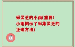 采灵芝的小雨(重要！小雨揭示了采集灵芝的正确方法)