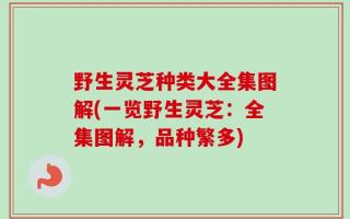 野生灵芝种类大全集图解(一览野生灵芝：全集图解，品种繁多)