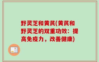 野灵芝和黄芪(黄芪和野灵芝的双重功效：提高免疫力，改善健康)