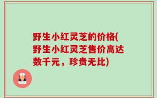 野生小红灵芝的价格(野生小红灵芝售价高达数千元，珍贵无比)