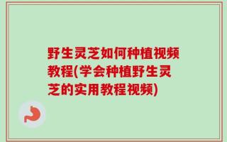 野生灵芝如何种植视频教程(学会种植野生灵芝的实用教程视频)
