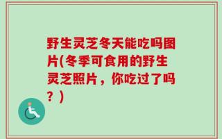 野生灵芝冬天能吃吗图片(冬季可食用的野生灵芝照片，你吃过了吗？)