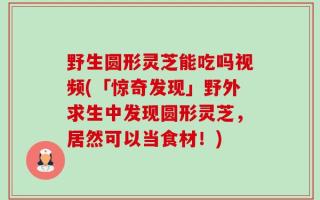 野生圆形灵芝能吃吗视频(「惊奇发现」野外求生中发现圆形灵芝，居然可以当食材！)