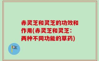 赤灵芝和灵芝的功效和作用(赤灵芝和灵芝：两种不同功能的草药)