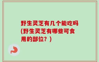 野生灵芝有几个能吃吗(野生灵芝有哪些可食用的部位？)