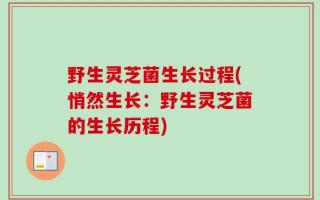 野生灵芝菌生长过程(悄然生长：野生灵芝菌的生长历程)
