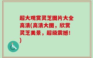 超大观赏灵芝图片大全高清(高清大图，欣赏灵芝美景，超级震撼！)