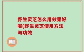 野生灵芝怎么用效果好呢(野生灵芝使用方法与功效