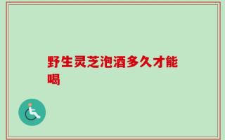 野生灵芝泡酒多久才能喝