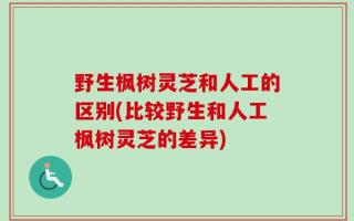 野生枫树灵芝和人工的区别(比较野生和人工枫树灵芝的差异)