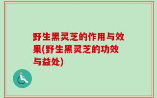 野生黑灵芝的作用与效果(野生黑灵芝的功效与益处)