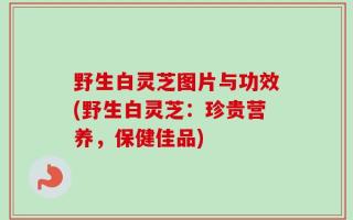 野生白灵芝图片与功效(野生白灵芝：珍贵营养，保健佳品)