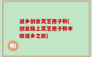 返乡创业灵芝孢子粉(创业路上灵芝孢子粉丰收返乡之旅)