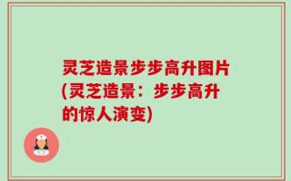灵芝造景步步高升图片(灵芝造景：步步高升的惊人演变)