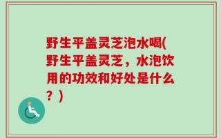 野生平盖灵芝泡水喝(野生平盖灵芝，水泡饮用的功效和好处是什么？)