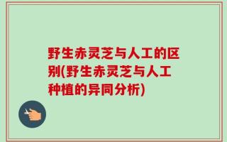 野生赤灵芝与人工的区别(野生赤灵芝与人工种植的异同分析)