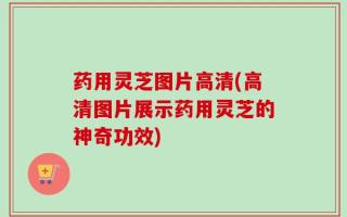 药用灵芝图片高清(高清图片展示药用灵芝的神奇功效)