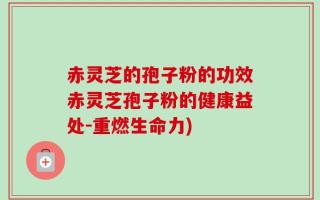 赤灵芝的孢子粉的功效赤灵芝孢子粉的健康益处-重燃生命力)