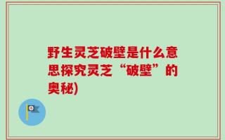 野生灵芝破壁是什么意思探究灵芝“破壁”的奥秘)