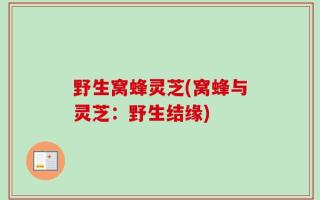 野生窝蜂灵芝(窝蜂与灵芝：野生结缘)
