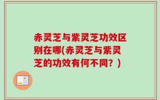 赤灵芝与紫灵芝功效区别在哪(赤灵芝与紫灵芝的功效有何不同？)
