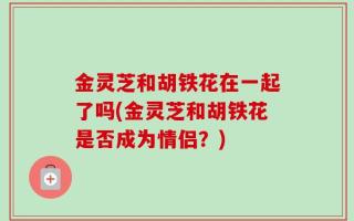 金灵芝和胡铁花在一起了吗(金灵芝和胡铁花是否成为情侣？)