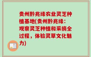 贵州黔兆缘农业灵芝种植基地(贵州黔兆缘：观察灵芝种植和采摘全过程，体验灵草文化魅力)