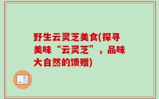 野生云灵芝美食(探寻美味“云灵芝”，品味大自然的馈赠)
