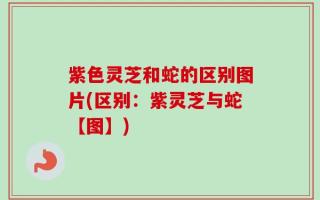紫色灵芝和蛇的区别图片(区别：紫灵芝与蛇【图】)