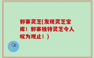 郭寨灵芝(发现灵芝宝库！郭寨独特灵芝令人叹为观止！)