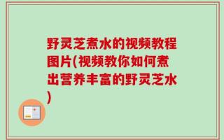 野灵芝煮水的视频教程图片(视频教你如何煮出营养丰富的野灵芝水)