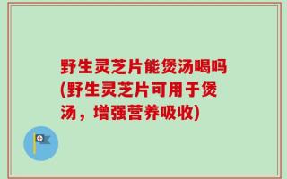 野生灵芝片能煲汤喝吗(野生灵芝片可用于煲汤，增强营养吸收)