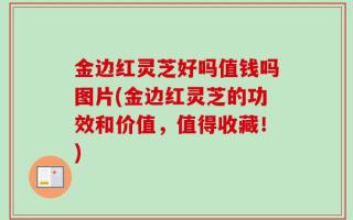 金边红灵芝好吗值钱吗图片(金边红灵芝的功效和价值，值得收藏！)