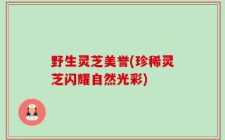 野生灵芝美誉(珍稀灵芝闪耀自然光彩)