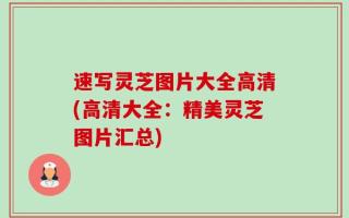 速写灵芝图片大全高清(高清大全：精美灵芝图片汇总)